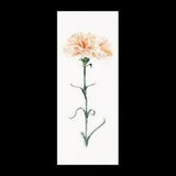 oop Thea Gouverneur cross stitch kit 468 Carnation Peach
