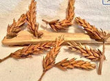 20  Dried Decor Seed pods 3-5 inch Gourds Baskets Floral Craft