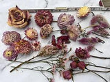 Dried Flowers Resin Real Natural Dry Flower Mixed Lot Pink Cream DIY Crafts #6