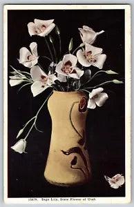 Utah UT - Sego Lily, State Flower of Utah - Vintage Postcard - Unposted