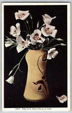 Utah UT - Sego Lily, State Flower of Utah - Vintage Postcard - Unposted