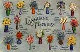 Floriography: The Romantic Victorian-Era Language of Flowers Flower Delivery