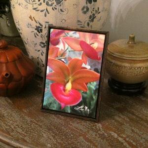 Swan Orchid Miniature Canvas Print in a Floating Frame. 6" x 4" Tropic Moon Mini 100% handmade, signed, certified fine art reproduction.
