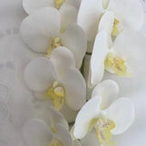 Artificial Orchid, Make your own Plant, Christmas Gift, Real Look Orchids, Large White Orchid, Phalaenopsis, Faux Orchid Flower