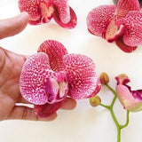 Artificial orchid real touch flower heads set of 5 for home and cake decor