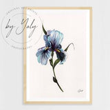 Orchid Hand Drawn Ink Illustration, Blue Orchid Wall Art Print, Fine Art Orchid Flower Drawing, Ink Botanical Illustration, Flower Painting