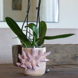 Aura Crystal Orchid Drop Pot | CHOOSE YOUR COLOR | Unique handmade ceramic crystal planter for succulent lovers and crystal collectors