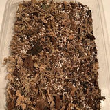 Certified Organic Orchid/Epiphyte Soil (1 gallon)