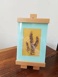 D. Anne Dried Floral Art Floral Design w/Michael Graves Maple Easel Stand Frame