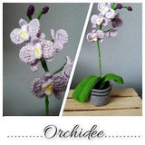 Orchid ENGLISH/DUTCH Orchid crochet pattern