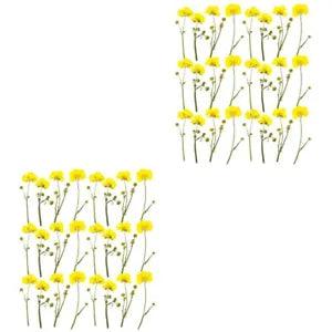 48 Pcs DIY Pressed Flower Dried Flowers Dry Leafs Desk Lamp