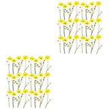 48 Pcs DIY Pressed Flower Dried Flowers Dry Leafs Desk Lamp