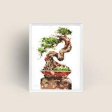 Bonsai Tree Series No. 5 Plant Giclee Art Print from Original Watercolor Impression Painting, Plant Watercolor Art Print