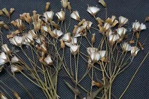 100 X Natural Real Durable Pressed Flowers Organic Bunch of flowers DIY Florals