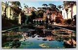 Flowers~San Diego California~Lily Pond Aquatic Plants @ Balboa Park~Vintage PC