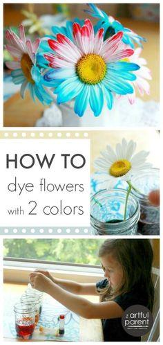 Spring Science Activities for Preschoolers Flower Delivery