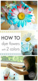 Spring Science Activities for Preschoolers Flower Delivery