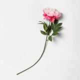 24" Artificial Peony Stem Pink - Threshold