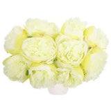 Artificial Flower Heads, Silk Peony Plants Hydrangea Green Faux Flowers 10Pcs