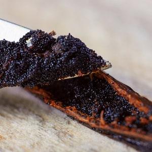 Vanilla Bean Seeds