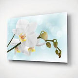 White Orchid Wall Art, Calming Girls Nursery Decor, Soft Aesthetic Bedroom Decoration, Floral Glass Painting