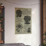 Types of flower seeds (Vintage Poster)