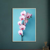 Elegant Orchid: A work of art for the home