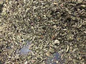 1 LB POUND MARSHMALLOW LEAF Althaea Bulk Medicinal heal throat Organic Herb