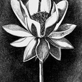 Simple Flower
