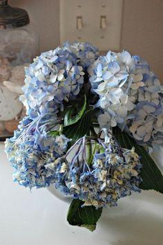 Double the Life of Cut Hydrangeas - Miss Frugal Fancy Pants Flower Delivery