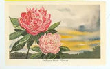 Peony floral wall art with two pink flowers and green leaves in rectangular frame