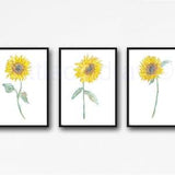 Sunflower Painting Print Set Of 3 Watercolor Print Floral Wall Decor Flower Sun Flower Home Decor 3 Art Prints Wall Art Unframed