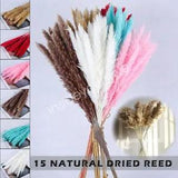 15/30/45X DIY Natural Dried Reed Pampas Flower Bunch Wedding Bouquet Party Decor
