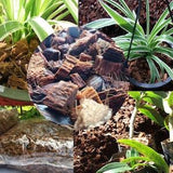 Coconut(coco) Husk Chips Great Additive For Orchid,anturium and Other Plant