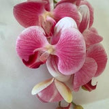Artificial Orchid, Make your own Plant, Christmas Gift, Real Look Orchids, Pink Orchid, Phalaenopsis, Artificial Flowers Faux Orchid Flower