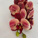 Artificial Orchid, Make your own Plant, Christmas Gift, Red Spotted Orchid, Phalaenopsis, Orchid Plant Leaves, Orchid SIlk Flower