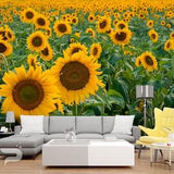 Sunflower WALL MURAL, Sunflower Field Wallpaper Mural, Large Wall Mural, Self Adhesive Peel & Stick Mural, Sunflowers Landscape Wall Mural