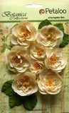 Ranunculus IVORY  8 Fabric Flowers + 6 Leaves - 33-48mm Across Botanica Pet L2b