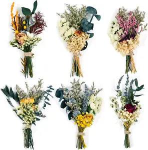 Dried Flower Natural Dried Floral Plant Mini Bouquet Photography Props Dry Flowe