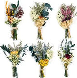 Dried Flower Natural Dried Floral Plant Mini Bouquet Photography Props Dry Flowe