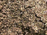 No.31 Tea Mix - Clove Mint Skullcap Mullein Coltsfoot  Lavender Raspberry - 2 oz