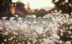 justgirlythings Flower Delivery