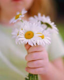 Praticare gentilezza a casaccio, e atti di bellezza privi di senso Flower Delivery