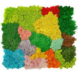 1 Bag Natural Reindeer Moss Preserved Dried Craft Artificial Flower Landscape