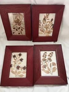 4  Pressed Dried Flowers Under Glass w/ Wood Frame Wall Art 9" x 7"