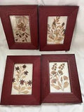 4  Pressed Dried Flowers Under Glass w/ Wood Frame Wall Art 9