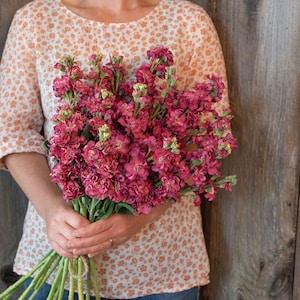 30 Vintage Brown Stock Flower Seeds / Matthiola Incanas / Cut Flower / Container Gardening / English Garden / Wildflowers / Cottage Garden