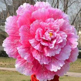 Fake Peony Artificial Flowers Dancing Props Silk Performances Floral Decorations