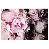 Peonies Galore I Poster Art Print, Peony Home Decor