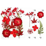 Real Dried Flower Natural Dry Plants Candle Epoxy Necklace Making Craft DIY a